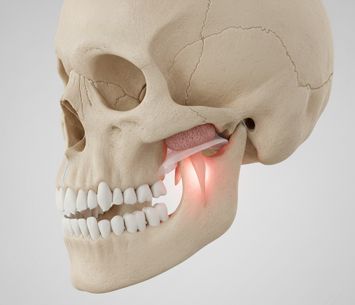 جایگاه کندیل در TMJ