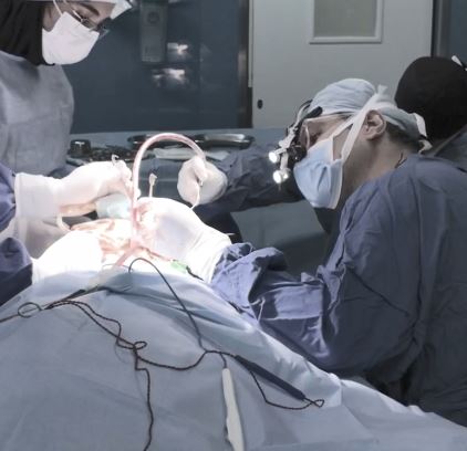 کلینیک دکتر شهاب عزیزی مرکز مشاوره عمل بینی طبیعی
